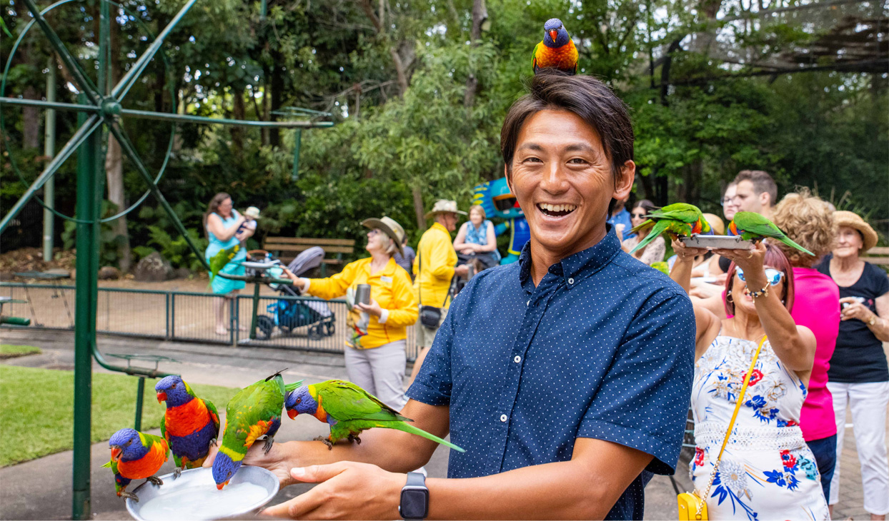 lorikeet-feeds.jpg